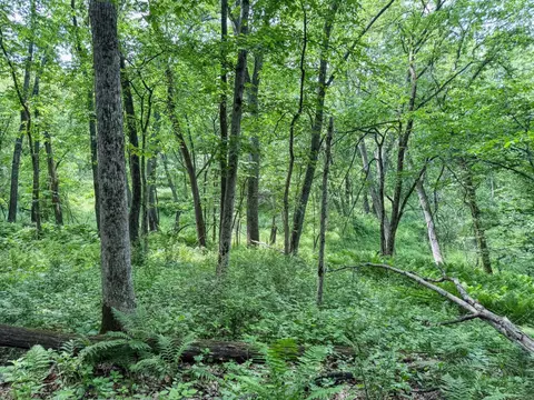 00 Dopp, Ettrick, WI 54627 photo 18