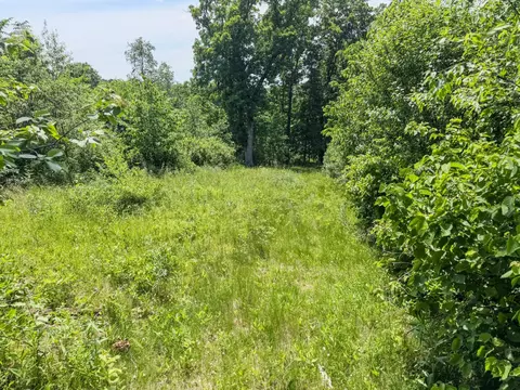00 Dopp, Ettrick, WI 54627 photo 28