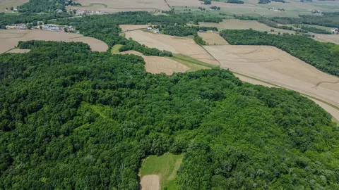 00 Dopp, Ettrick, WI 54627 photo 8