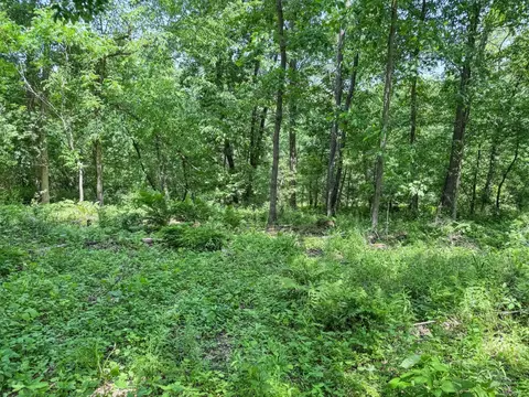 00 Dopp, Ettrick, WI 54627 photo 30