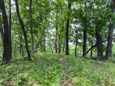 00 Dopp, Ettrick, WI 54627 photo 14