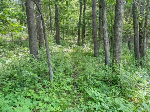 00 Dopp, Ettrick, WI 54627 photo 38