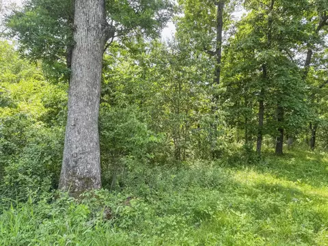 00 Dopp, Ettrick, WI 54627 photo 29