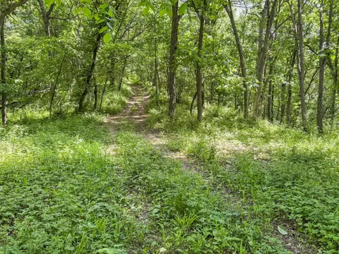 00 Dopp, Ettrick, WI 54627 photo 34