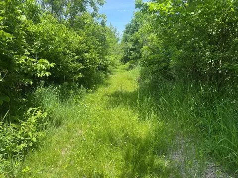 00 Dopp, Ettrick, WI 54627 photo 26