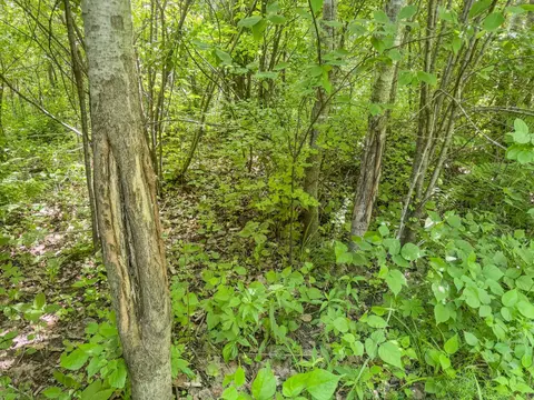 00 Dopp, Ettrick, WI 54627 photo 27
