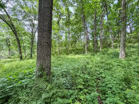 00 Dopp, Ettrick, WI 54627 photo 15
