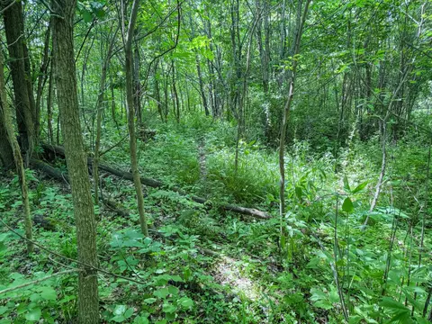 00 Dopp, Ettrick, WI 54627 photo 20