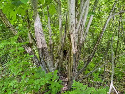 00 Dopp, Ettrick, WI 54627 photo 35