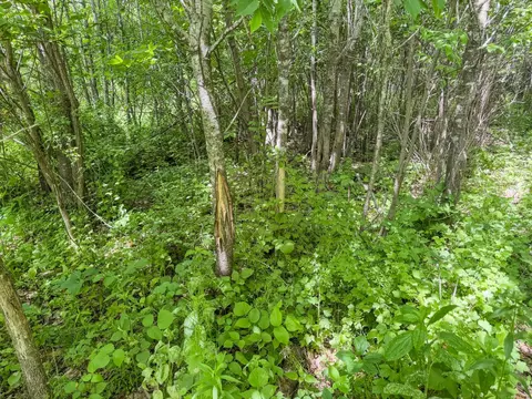 00 Dopp, Ettrick, WI 54627 photo 23