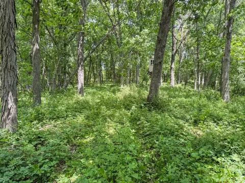 00 Dopp, Ettrick, WI 54627 photo 33