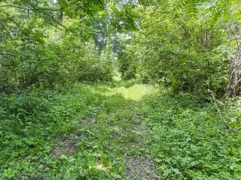 00 Dopp, Ettrick, WI 54627 photo 25