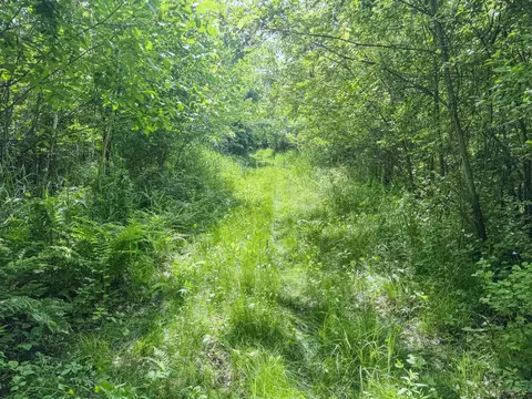 00 Dopp, Ettrick, WI 54627 photo 22