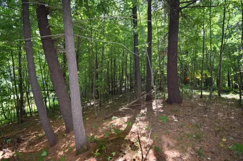 4646 Whitetail Path, Webster, WI 54893 photo 24