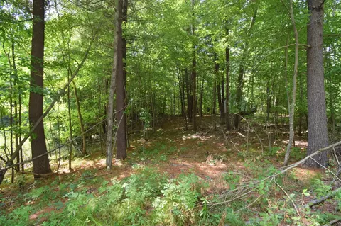 4646 Whitetail Path, Webster, WI 54893 photo 44