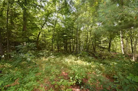 4646 Whitetail Path, Webster, WI 54893 photo 30