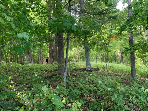 1888 Trillium Dr NW, Hackensack, MN 56452 photo 2