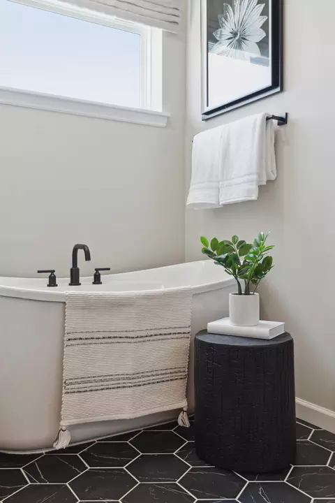 Bath - 15044 Amber Fields Blvd W, Rosemount, MN 55068 photo 2 of 3