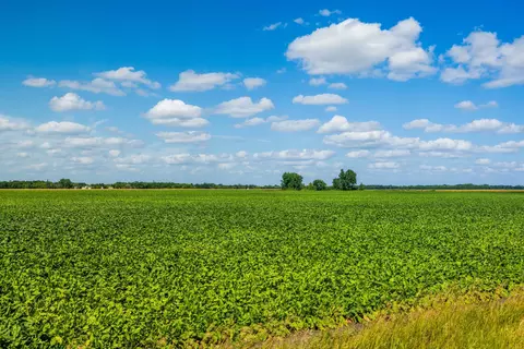 tbd 360 St NW, Argyle, MN 56713 photo 15