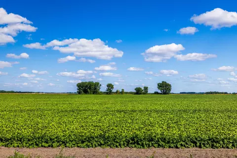 tbd 360 St NW, Argyle, MN 56713 photo 25