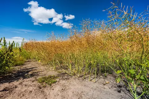 tbd 360 St NW, Argyle, MN 56713 photo 11
