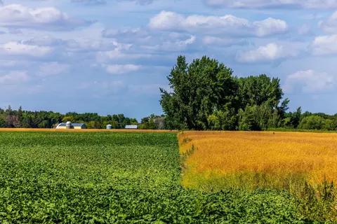 tbd 360 St NW, Argyle, MN 56713 photo 6