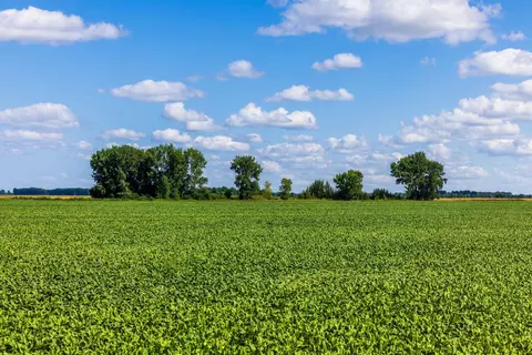 tbd 360 St NW, Argyle, MN 56713 photo 24
