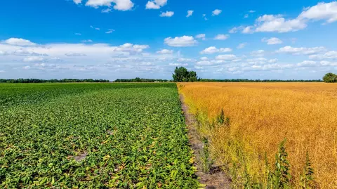 tbd 360 St NW, Argyle, MN 56713 photo 51
