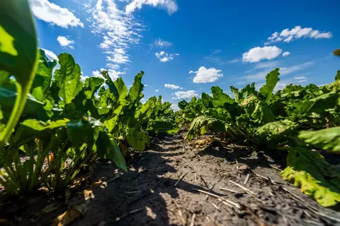 tbd 360 St NW, Argyle, MN 56713 photo 13