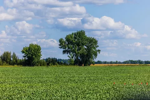 tbd 360 St NW, Argyle, MN 56713 photo 21