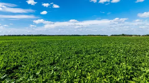 tbd 360 St NW, Argyle, MN 56713 photo 52