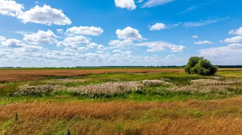 tbd 360 St NW, Argyle, MN 56713 photo 37
