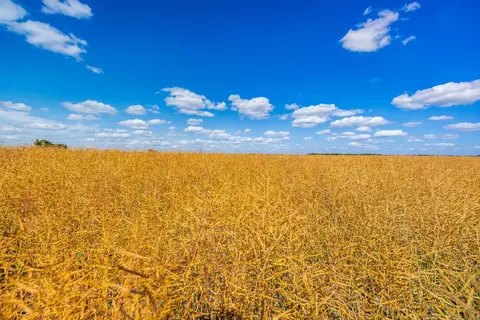 tbd 360 St NW, Argyle, MN 56713 photo 9