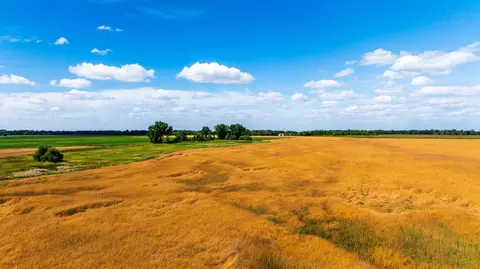 tbd 360 St NW, Argyle, MN 56713 photo 33