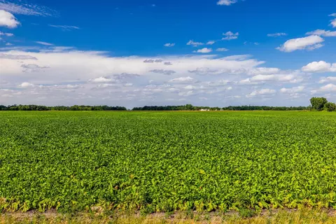 tbd 360 St NW, Argyle, MN 56713 photo 26