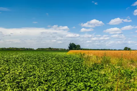 tbd 360 St NW, Argyle, MN 56713 photo 14