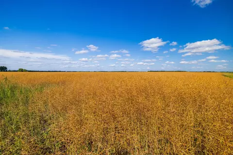 tbd 360 St NW, Argyle, MN 56713 photo 28