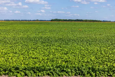 tbd 360 St NW, Argyle, MN 56713 photo 23
