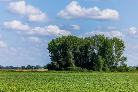 tbd 360 St NW, Argyle, MN 56713 photo 20
