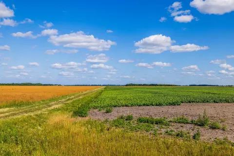 tbd 360 St NW, Argyle, MN 56713 photo 16