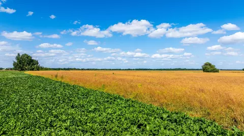 tbd 360 St NW, Argyle, MN 56713 photo 54