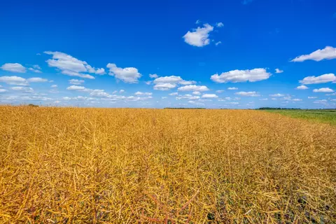 tbd 360 St NW, Argyle, MN 56713 photo 10