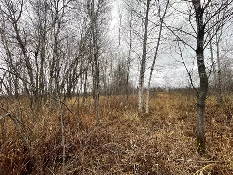 tbd Olson Rd, Hinckley, MN 55037 photo 23
