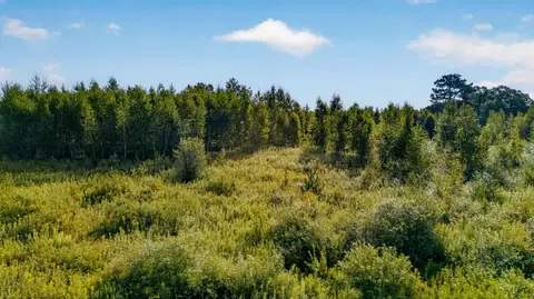 tbd Olson Rd, Hinckley, MN 55037 photo 4