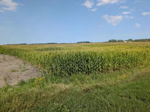 61203 150th St, Chokio, MN 56221