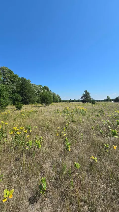 tbd Ravenswood Rd, Brainerd, MN 56401 photo 12