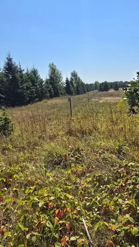 tbd Ravenswood Rd, Brainerd, MN 56401 photo 5