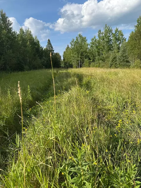 tbd Esh Acreage Highway 53, Ray, MN 56669 photo 17
