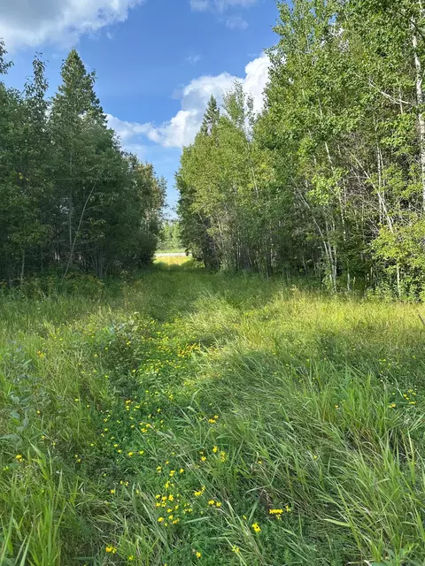 tbd Esh Acreage Highway 53, Ray, MN 56669 photo 18