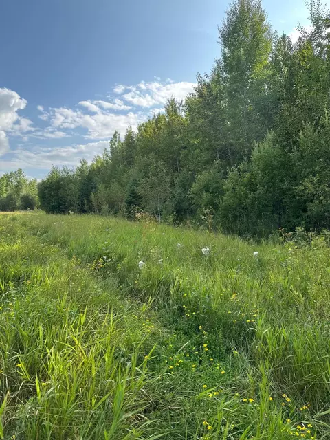 tbd Esh Acreage Highway 53, Ray, MN 56669 photo 8